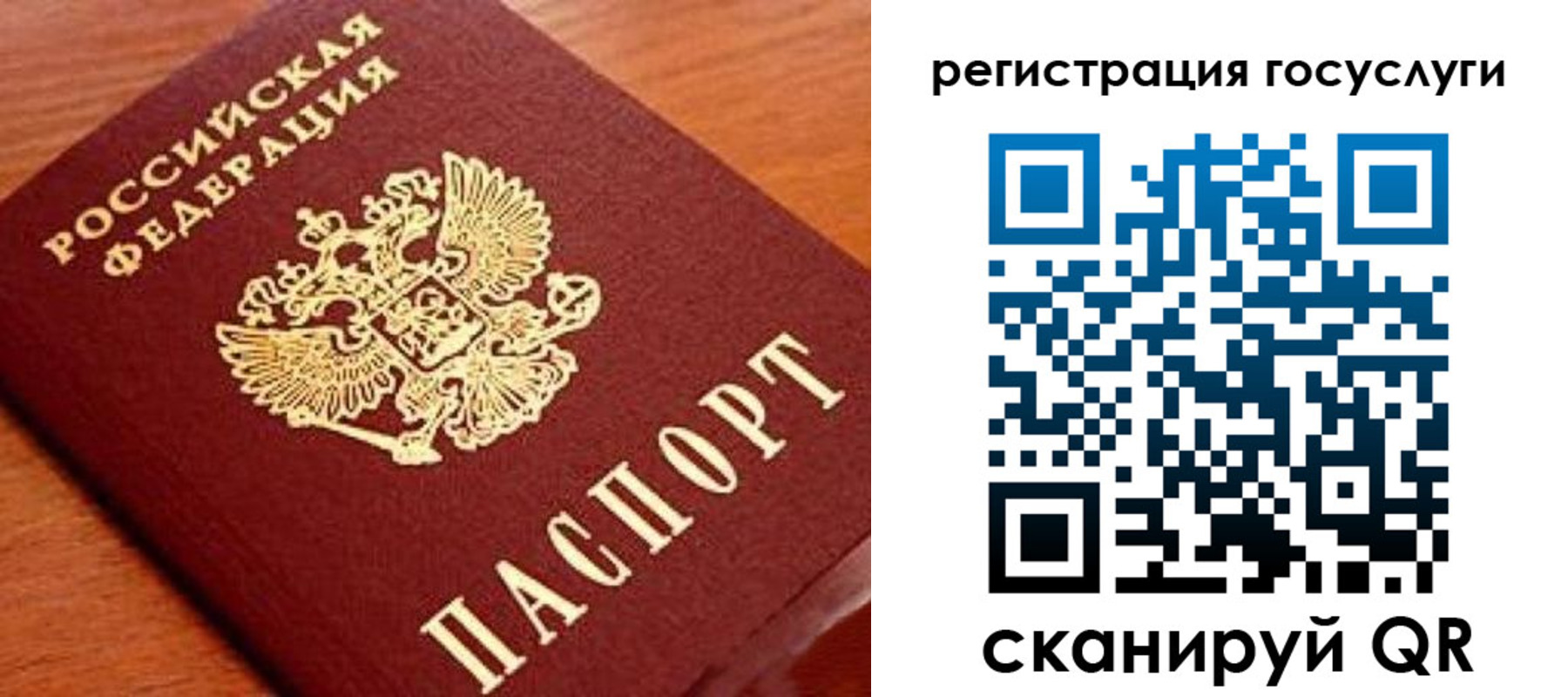 прописка иностранных граждан в Сосновоборске